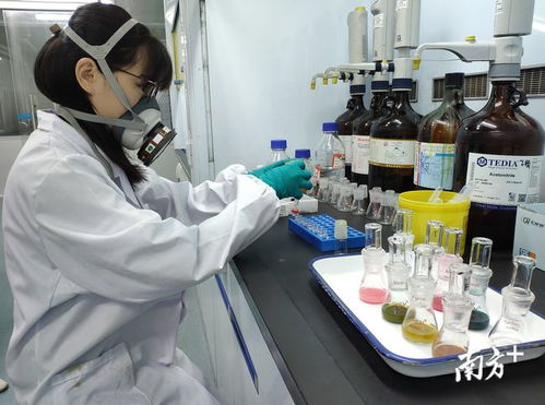 發揮技術優勢，把好發展關 技術服務助力清遠經濟騰飛